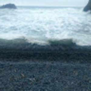 Meet your Posher, Terry